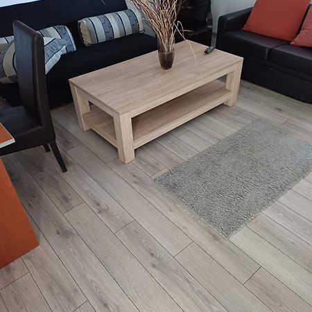Apartament Cu Terasa La Casa Tina Timişoara Exterior foto