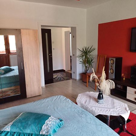 Apartament Cu Terasa La Casa Tina Timişoara Exterior foto