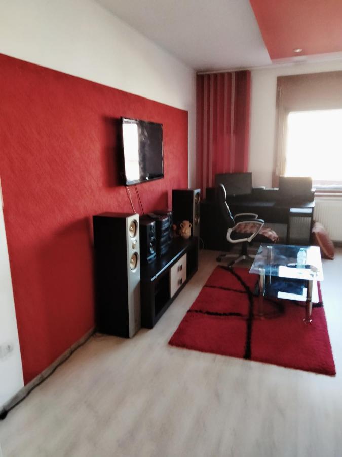 Apartament Cu Terasa La Casa Tina Timişoara Exterior foto
