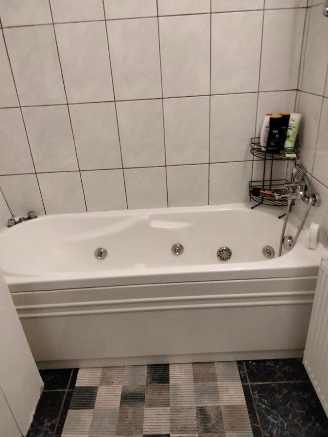 Apartament Cu Terasa La Casa Tina Timişoara Exterior foto