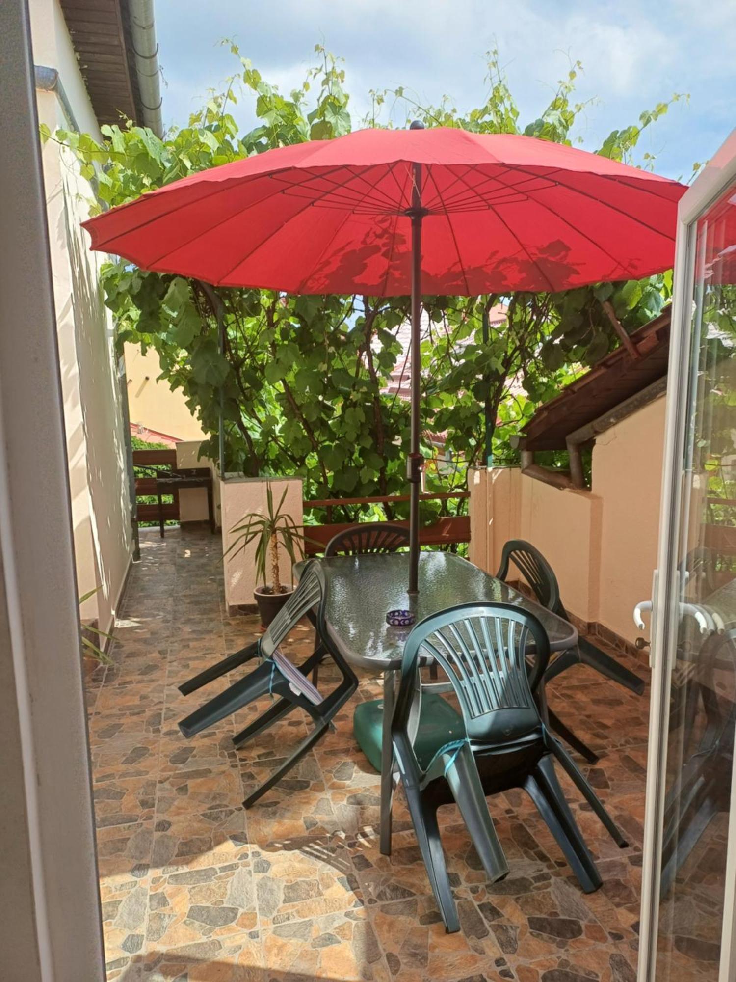 Apartament Cu Terasa La Casa Tina Timişoara Exterior foto